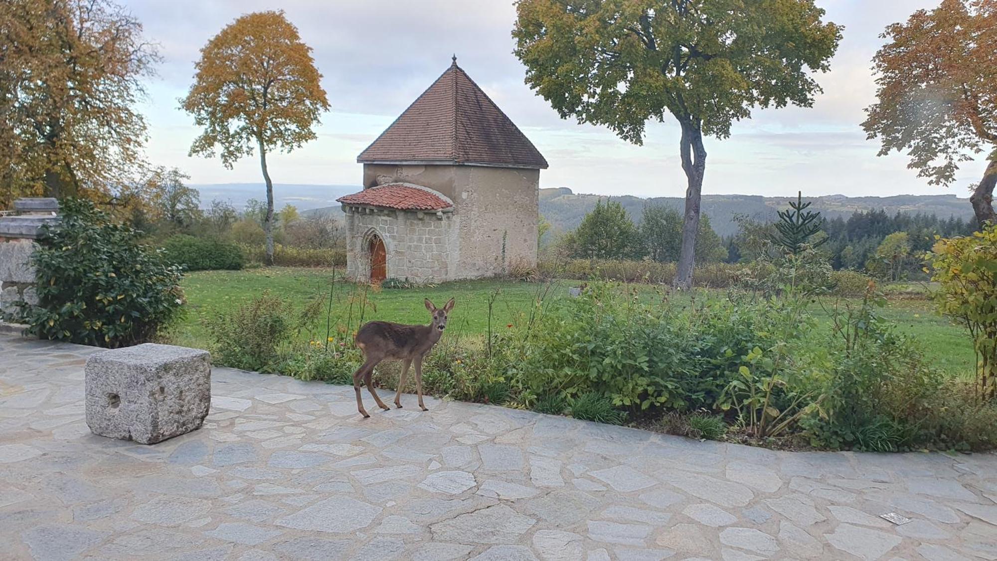 Domaine De Montvianeix Bed & Breakfast Saint-Victor-Montvianeix Exterior photo
